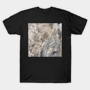 Driftwood and Sand T-Shirt